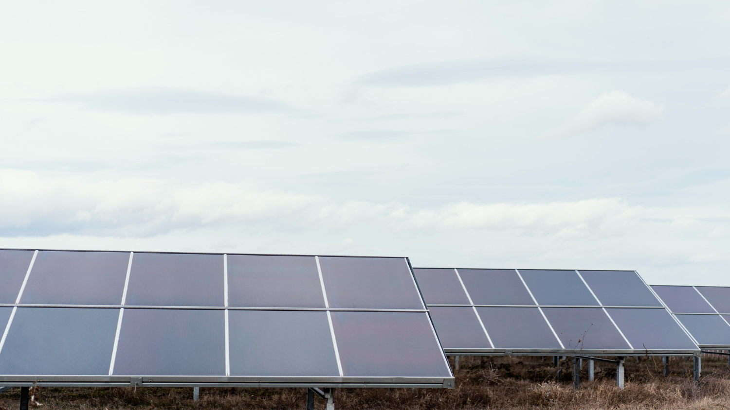 lots-solar-panels-field-generating-electricity