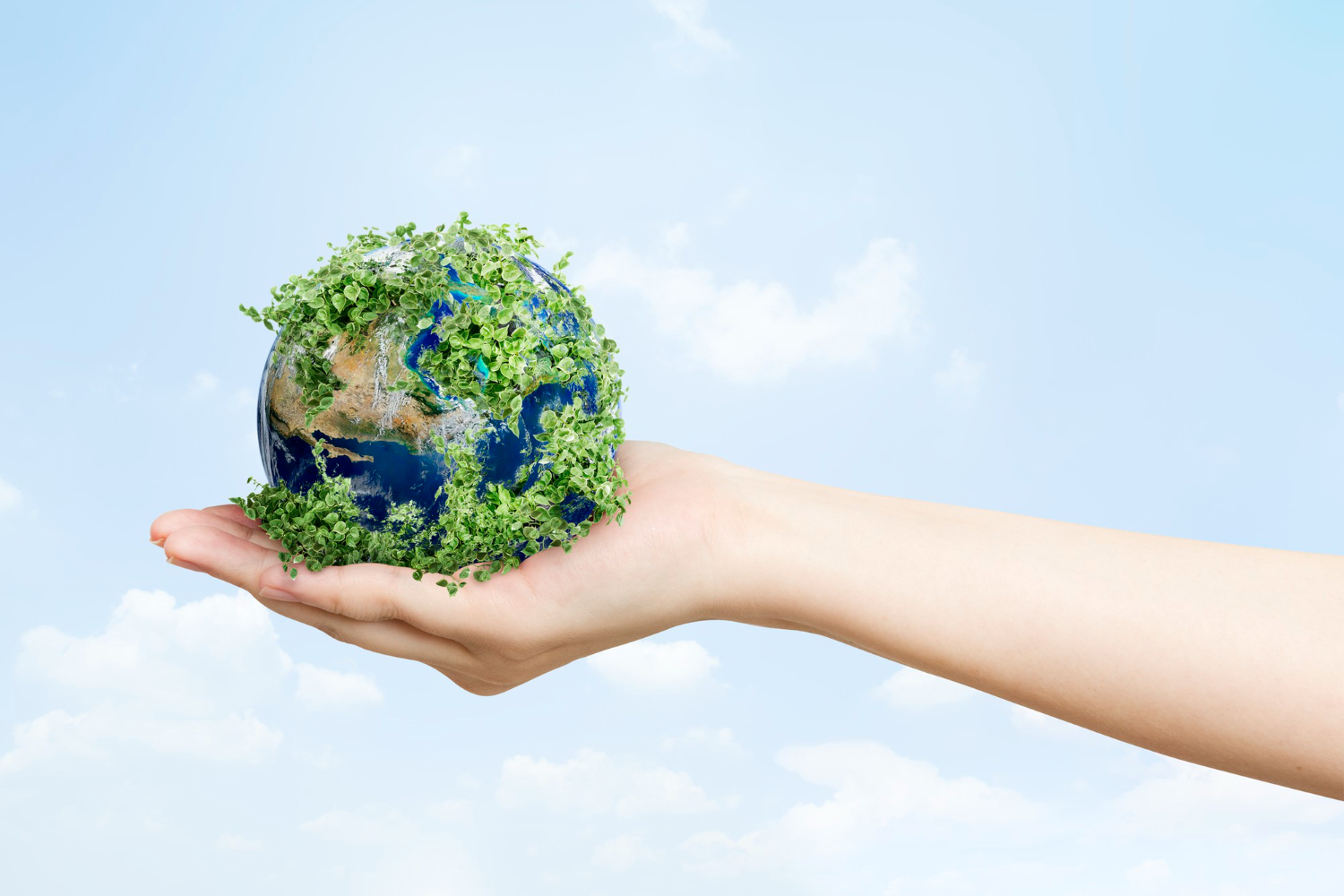 Ce sunt materialele bioplastice Importanta lor ecologica