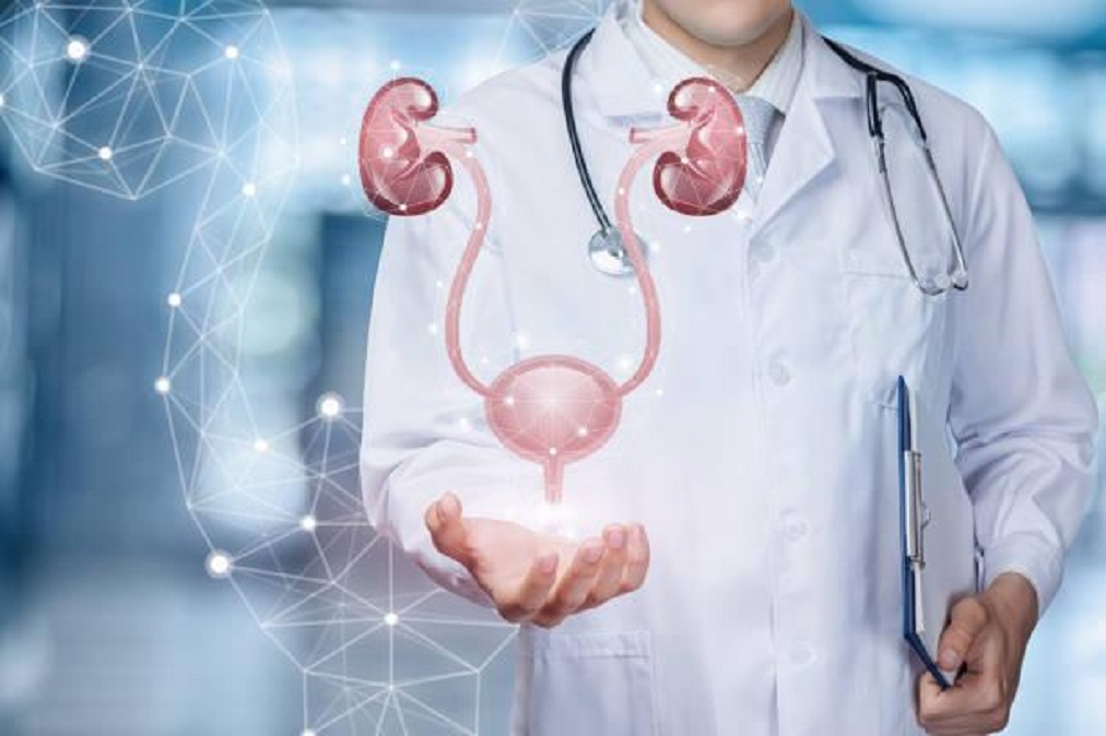 Cu ce se ocupa un urolog?
